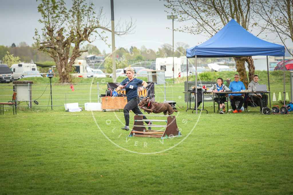 Pfotenfotografie_0L8A9668 | Hundefotografie, Tierfotograf, Pfotenfotografie, Fotoshooting Hund, Hunde Portrait, Hundesport, Hundeportraits, Heideshooting, Hunde, Sportfotograf, Hundefotograf, Turnierhundsport, THS,  - Realisiert mit Pictrs.com