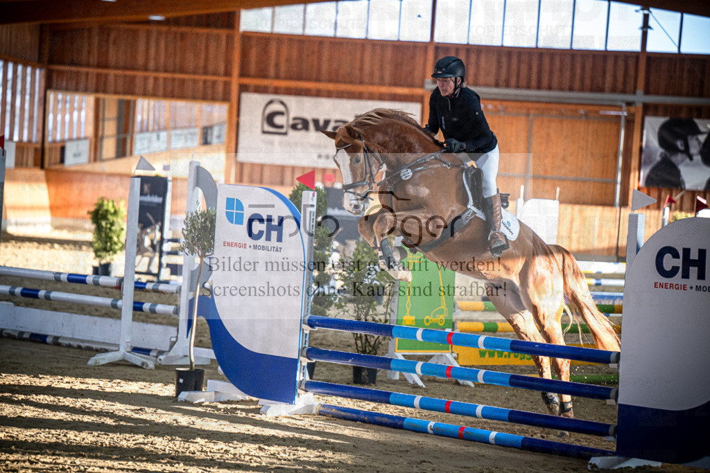 DOS_1678 | Entdecke hochwertige Reitturnierfotos von Foto Oger. Professionell, emotional und authentisch – jetzt Lieblingsmomente im Shop bestellen.Deutschlandweite Turnierfotografie. - Realisiert mit Pictrs.com