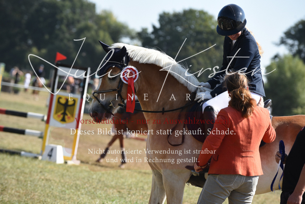 DSC_6198 | Pferde- und Turnierfotografie in Westsachsen. Pferdeportraits, Auftragszeichnungen und intuitive Kunst.