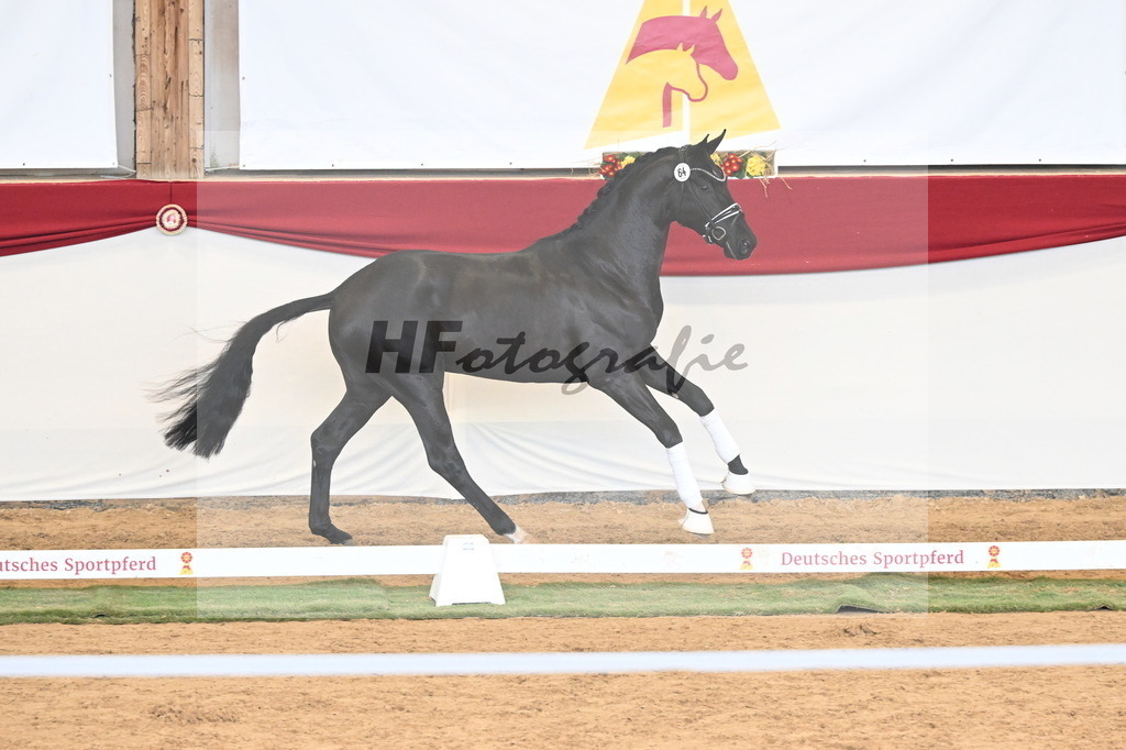 Kat.-Nr. 64 v. Fürst Samarant_Beckmann_3260936 | hf-fotografie - Realisiert mit Pictrs.com