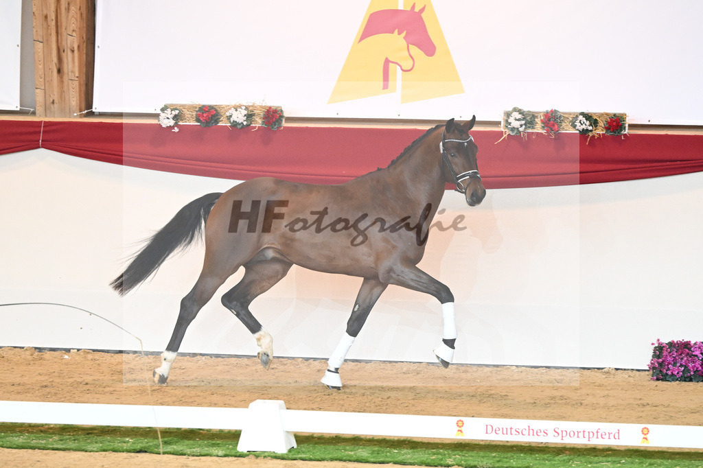 Kat-Nr. 75 Valverde_Schoenland_1230448 | hf-fotografie - Realisiert mit Pictrs.com