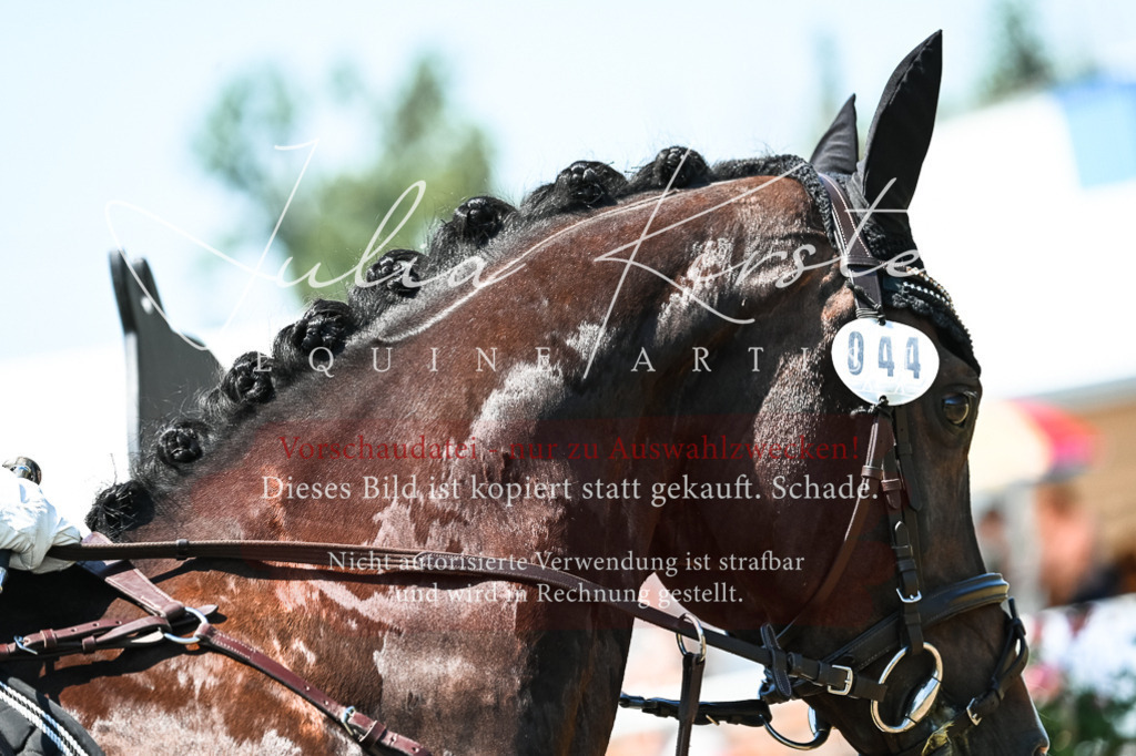 DSC_0433 | Pferde- und Turnierfotografie in Westsachsen. Pferdeportraits, Auftragszeichnungen und intuitive Kunst.