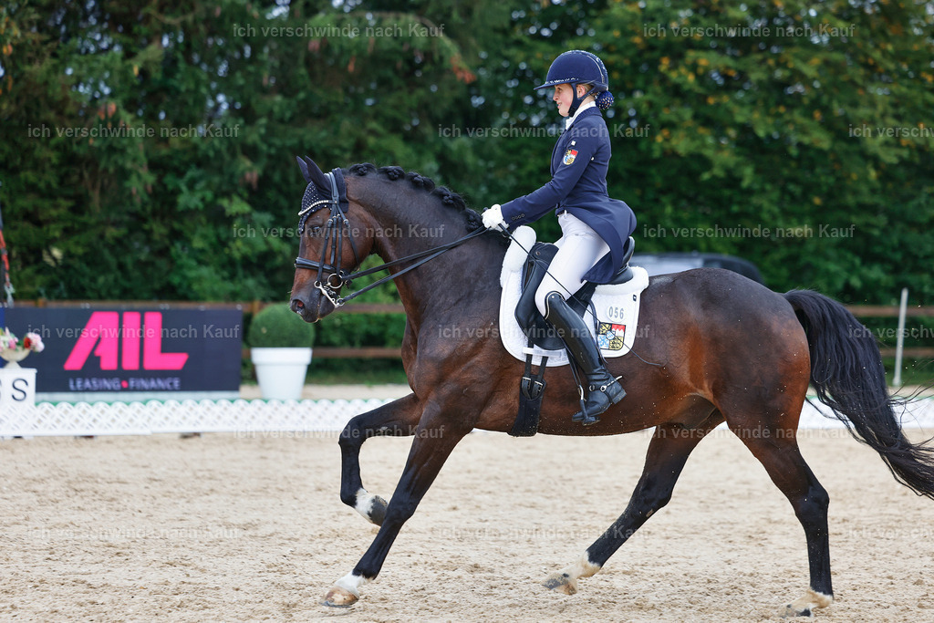 8_2-056-DRESSUR S_  -StoibPH-4418 | working equitationturnier fotograf videograf stoibphotography marixx film working equitation deutschland reitsport turnierfotografie eventfotografie equestrian events