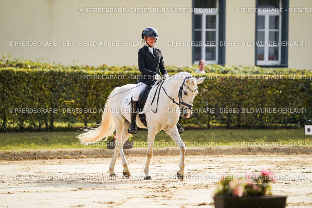 DSC05525 | Pferdegrafie