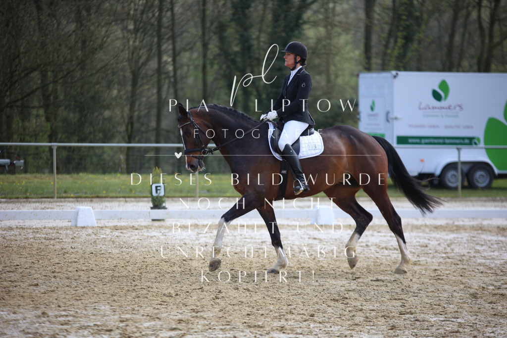 IMGT4631 | pl-fotografie