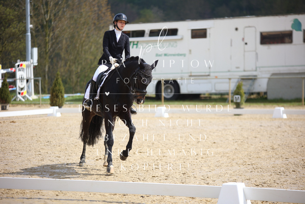 IMGT3674 | pl-fotografie