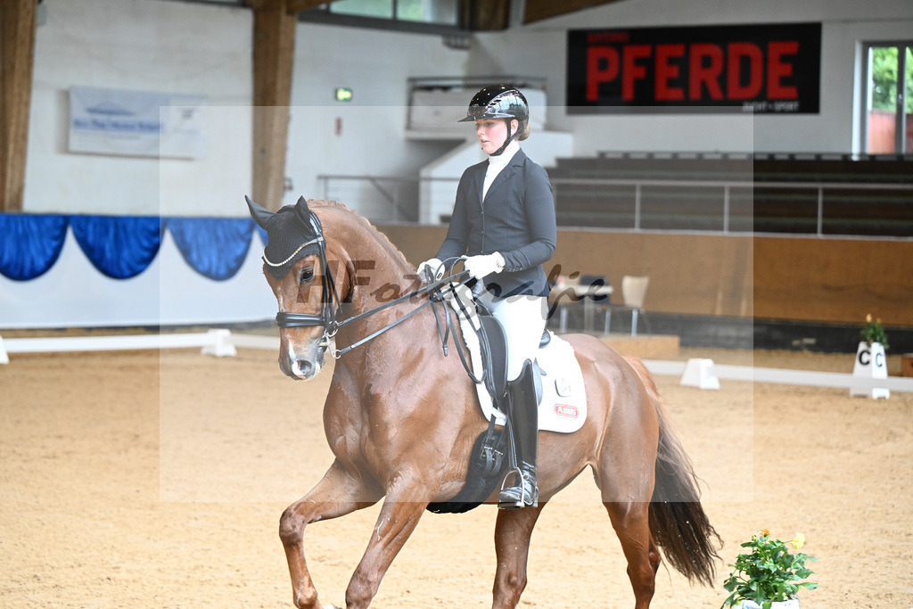 Kat-Nr. 45 Doppelherz_Jamieson_14241903 | hf-fotografie - Realisiert mit Pictrs.com