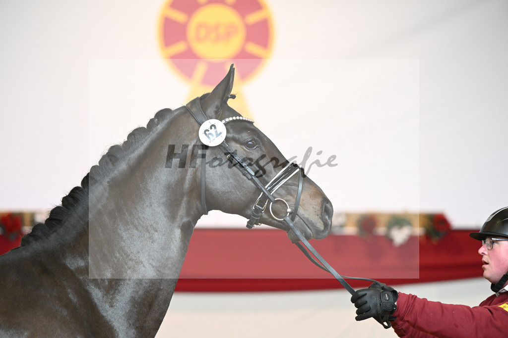 Kat-Nr. 62 Le Formidable_Rothenberger_1231476 | hf-fotografie - Realisiert mit Pictrs.com