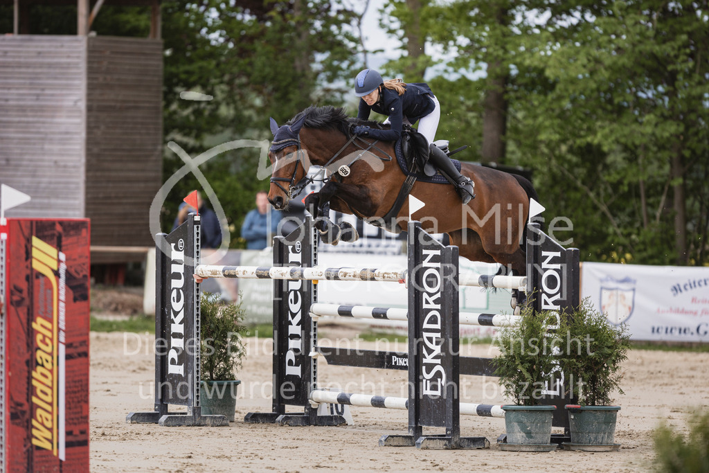 250504_SpengeW_M2-Spr-411 | Deine schönsten Turniermomente als professionelle Fotos! Entdecke hochwertige Pferdesport-Fotografie im Online-Shop. Jetzt Fotos finden & bestellen!