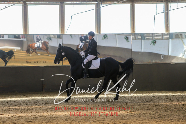 IMG_2491 | Turniersportfotografie; Pferdefotografie; Dressurfotografie