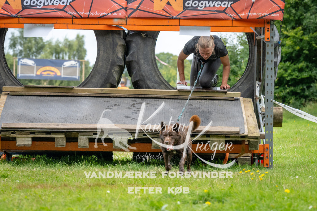 1151_ZZ93105 | kk-dogfotos