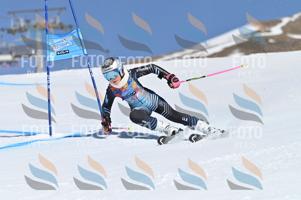 BGV_8483 | holidayphoto