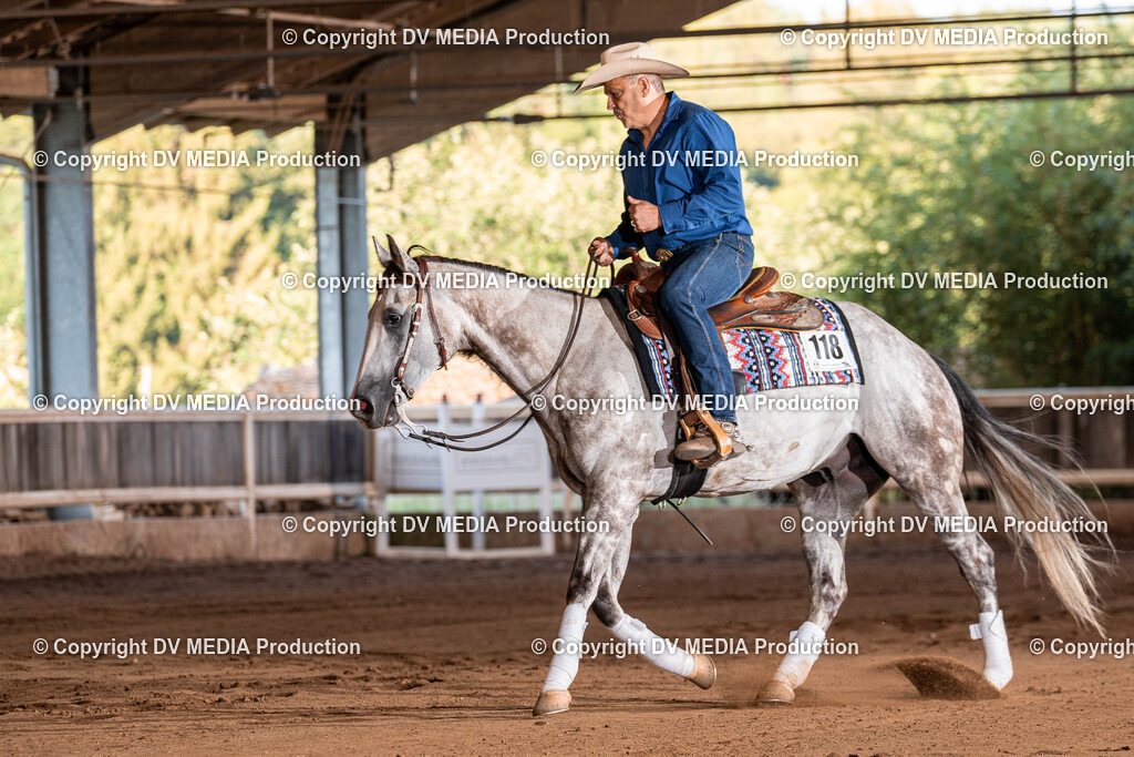 Erbach Tag 2-1183 | dv-media-shop - Realisiert mit Pictrs.com