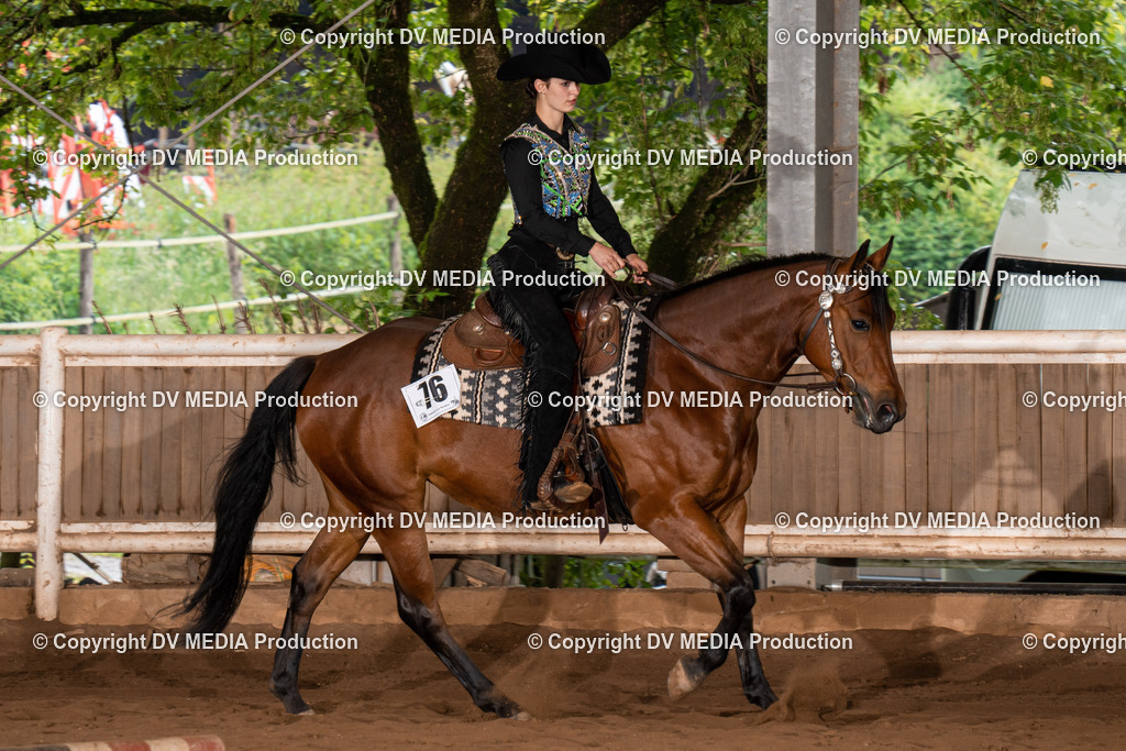 Erbach Tag 3-287 | dv-media-shop - Realisiert mit Pictrs.com