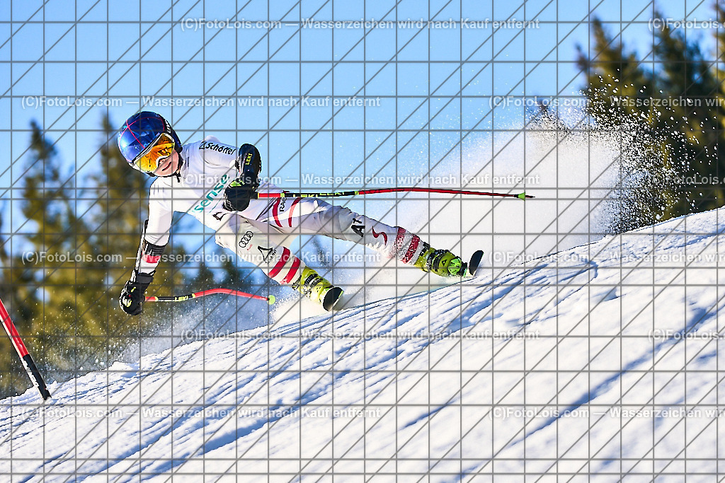 ALP3649_KinderVergleich-RTL-I_Trattenbach_Thaller Matthias | NÖ Landeskindervergleichskampf-Riesentorlauf auf dem Feistritzsattel in zwei Durchgängen, Sa 25. Jänner 2025.