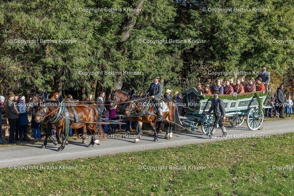 LBT25-317 | foto-bettina-krinner - Realisiert mit Pictrs.com