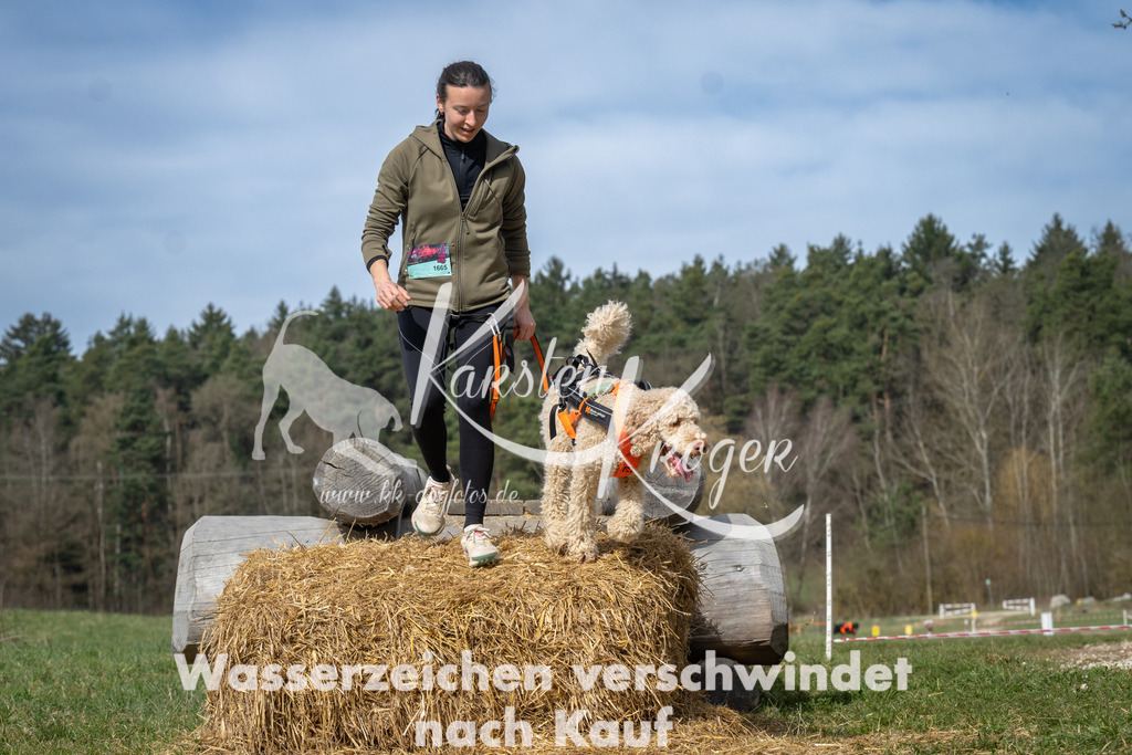 1048_ZZ93866 | kk-dogfotos