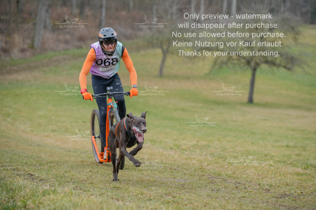 Sa_Scooter1-2 | stephaniefillaphotographie - Realisiert mit Pictrs.com