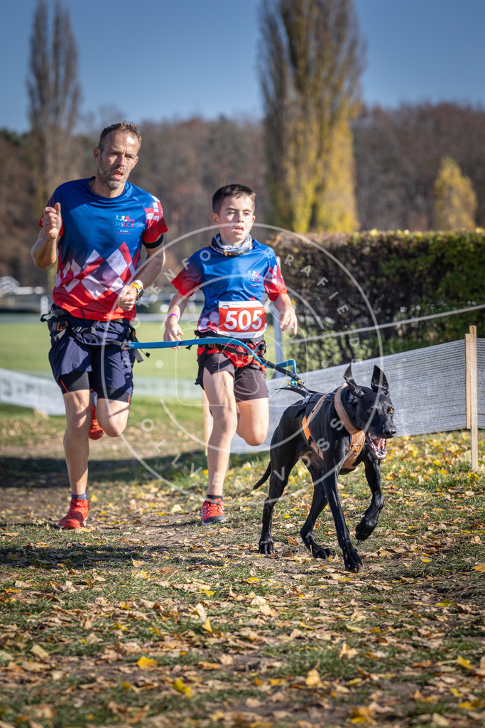 CaniXpix_DV3A7881 | Hundefotografie, Tierfotograf, Pfotenfotografie, Fotoshooting Hund, Hunde Portrait, Hundesport, Hundeportraits, Heideshooting, Hunde, Sportfotograf, Hundefotograf, Turnierhundsport, THS,  - Realisiert mit Pictrs.com