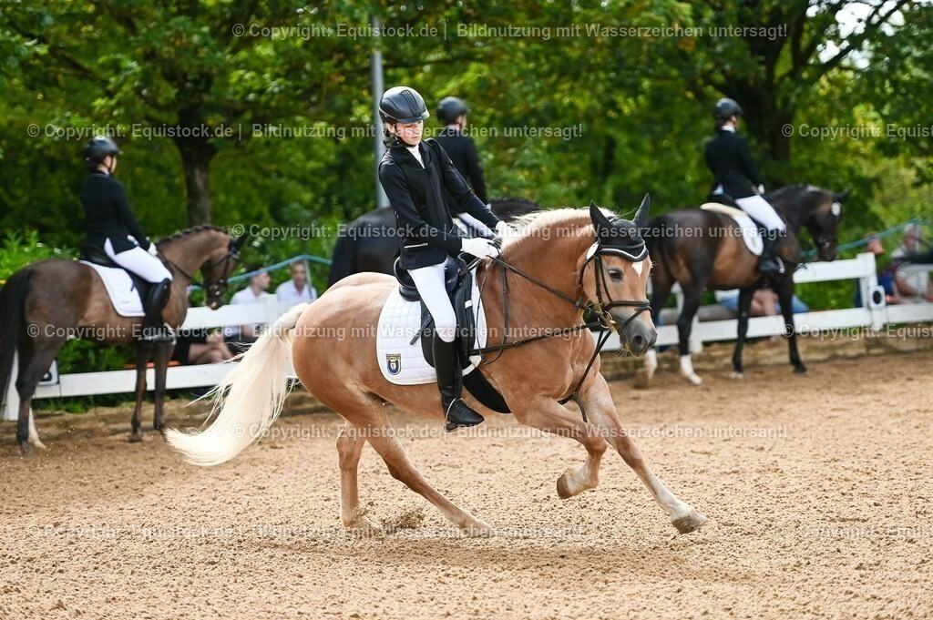 20230716_10-1_Reiter-WB Schritt - Trab - Galopp_0213 | equistock