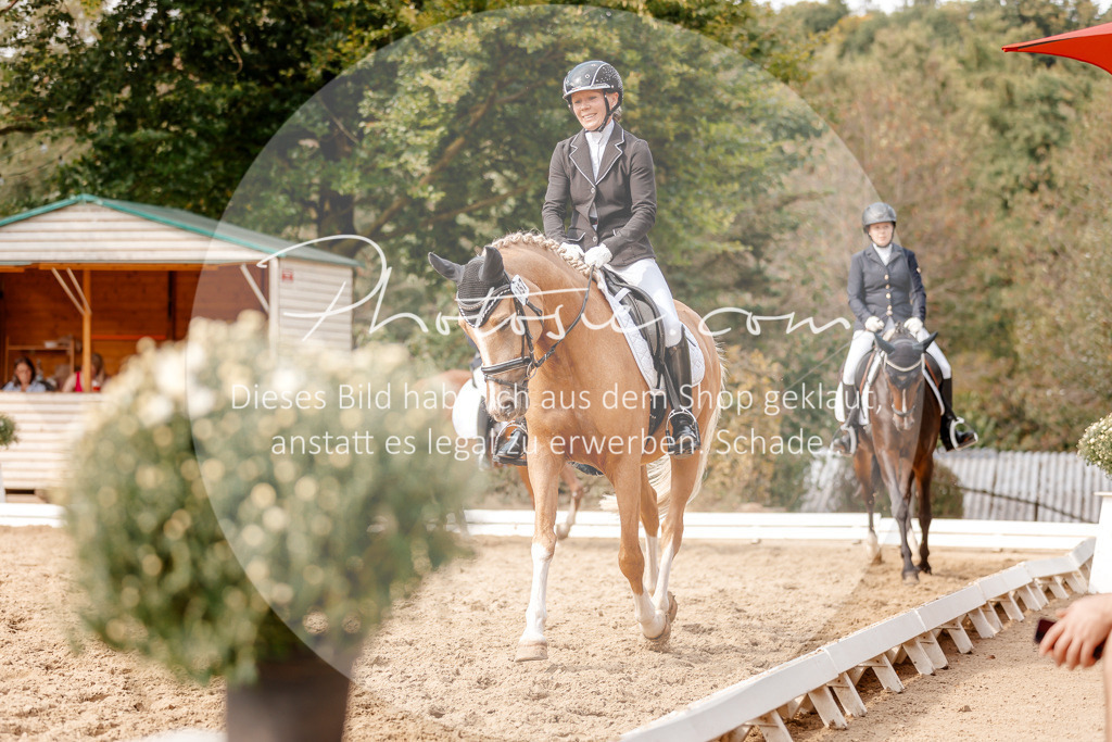 3I6A4424 | Stimmungsvolle Portraits und Reitsportfotografie im Ruhrgebiet und im Münsterland.

Pferdefotografie, Hundefotografie, Tierfotografie, Reportagen, Portraits von Tier und Mensch, Turnierfotografie in Bochum, Recklinghausen, Marl, Haltern am See, Dülmen.. - Realized with Pictrs.com