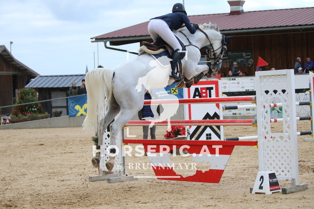 DL2Q6066 | Willkommen bei Brunnmayr - Design & Fotografie – Ihrem Spezialisten für Reitturniere und Pferdeveranstaltungen in Oberösterreich, Salzburg und Bayern! Seit über 17 Jahren sind wir leidenschaftlich dabei.