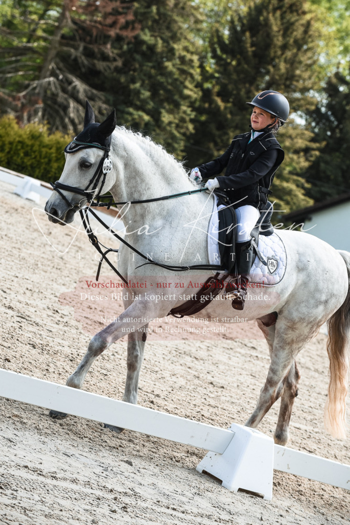 20230518_JK-Röhrsdorf-11-0468 | Pferde- und Turnierfotografie in Westsachsen. Pferdeportraits, Auftragszeichnungen und intuitive Kunst.