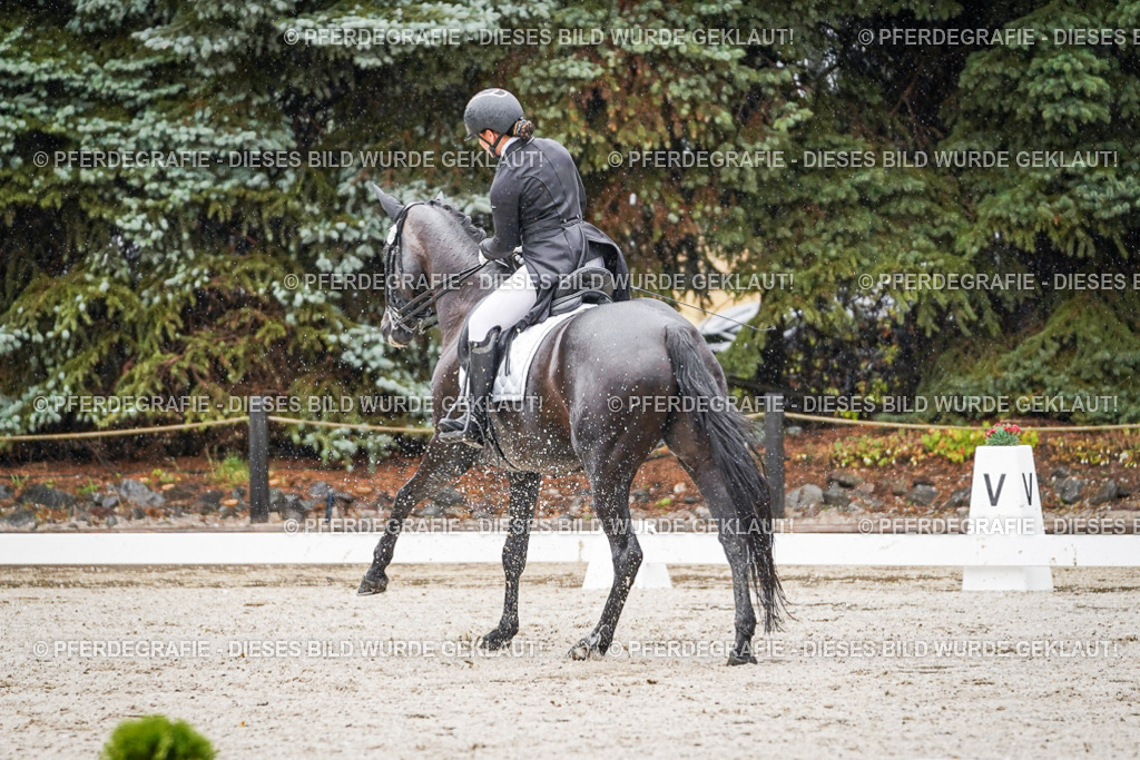 DSC08482 | Pferdegrafie