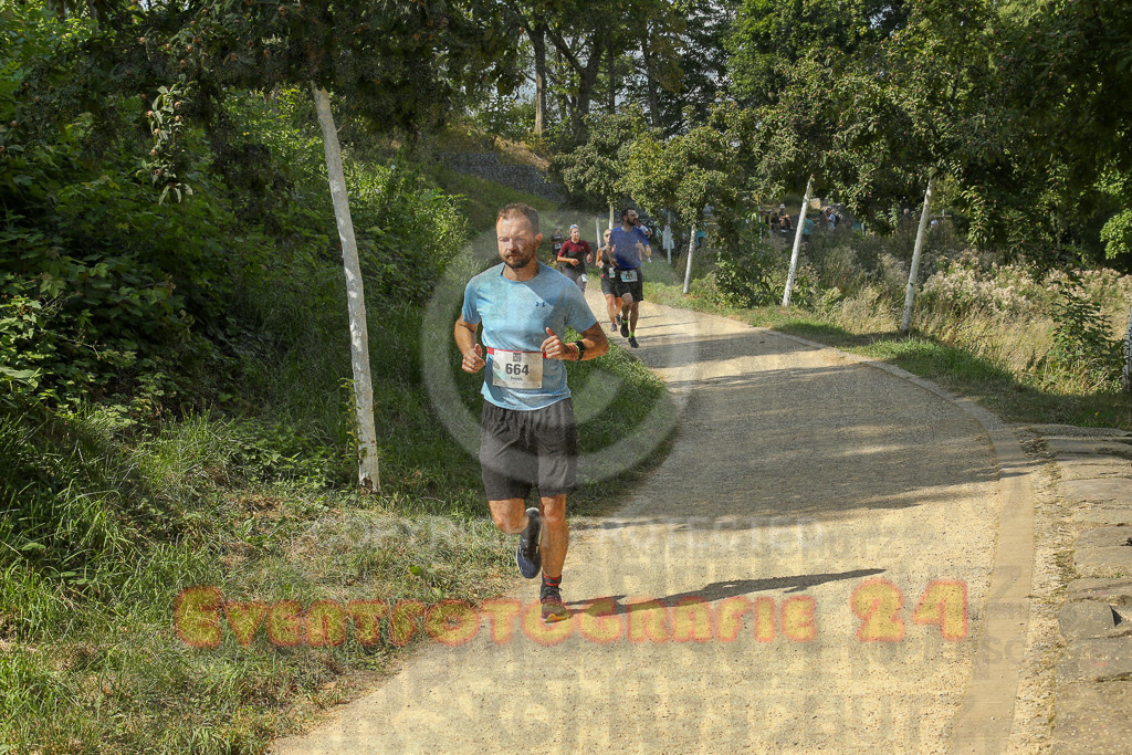 250824_1448_EX1_7652 | Sportfotografie im Rhein-Sieg Kreis, Köln, Bonn, NRW, Rheinland Pfalz, Hessen, etc. Unser Tätigkeitsfeld umfasst den Laufsport vom Volkslauf über den Marathon, Duathlon, Triathon bis zum Ultralauf wie Kölnpfad Ultra oder Schindertrail.