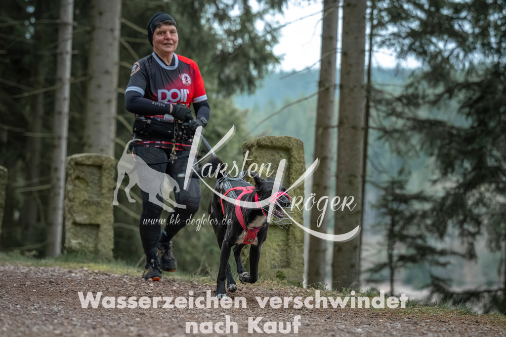 0815_ZZ90602 | kk-dogfotos
