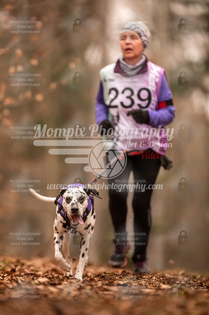 AKM_ST_2023_SAM_Run-124 | PayLife