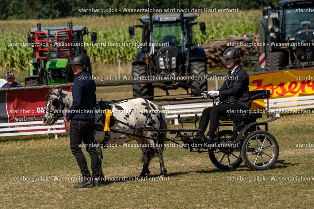 2026-08-09_12-58-19_WBO_Pulsnitz | sternberg.click - Realisiert mit Pictrs.com