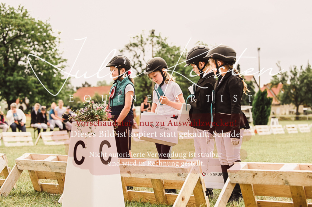 DSC_5378 | Pferde- und Turnierfotografie in Westsachsen. Pferdeportraits, Auftragszeichnungen und intuitive Kunst.