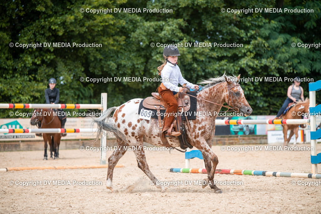 EWP_6635 | dv-media-shop - Realisiert mit Pictrs.com