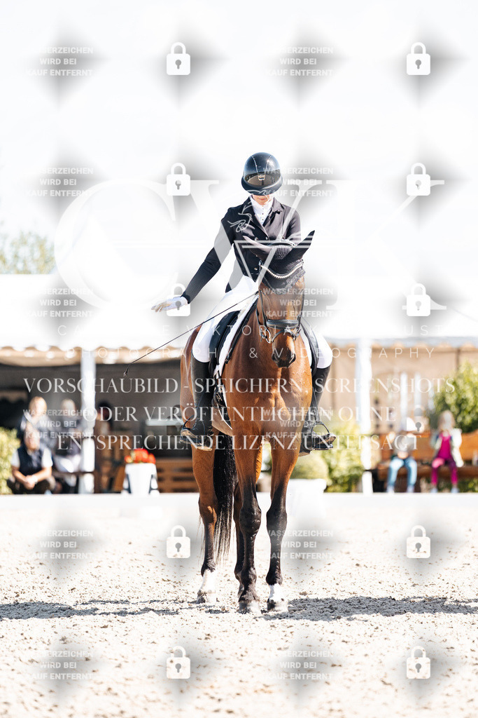 CK902899 | Turnierfotografie Pferdefotografie Trier Rheinland-Pfalz Pferdesport Reitsport Tierfotografie Sportfotografie Pferdevideo Pferdevideografie Equestrianvideography equestrianphotography  - Realisiert mit Pictrs.com