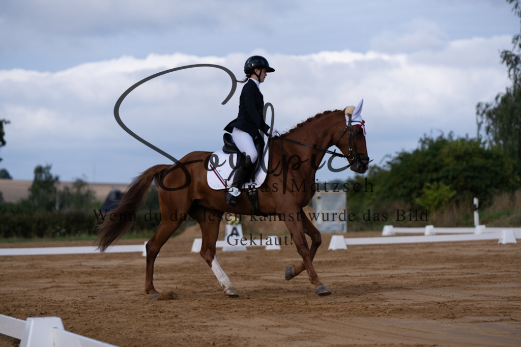 A7V05131 | Pferdefotograf