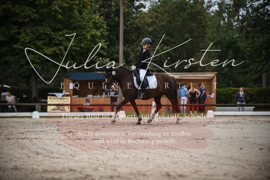 DSC_8134 | Pferde- und Turnierfotografie in Westsachsen. Pferdeportraits, Auftragszeichnungen und intuitive Kunst.