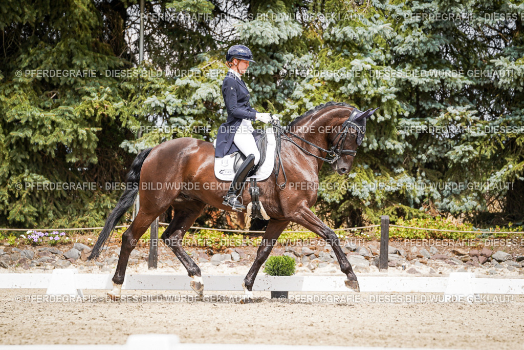 DSC05998 | Pferdegrafie