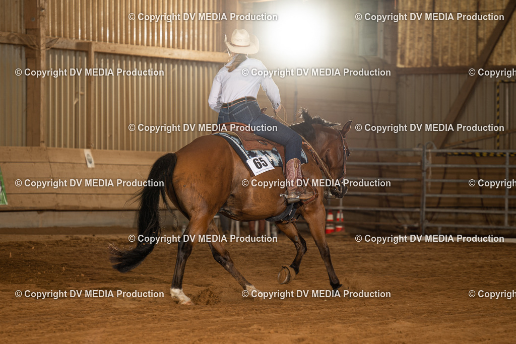 NID01352 | dv-media-shop - Realisiert mit Pictrs.com