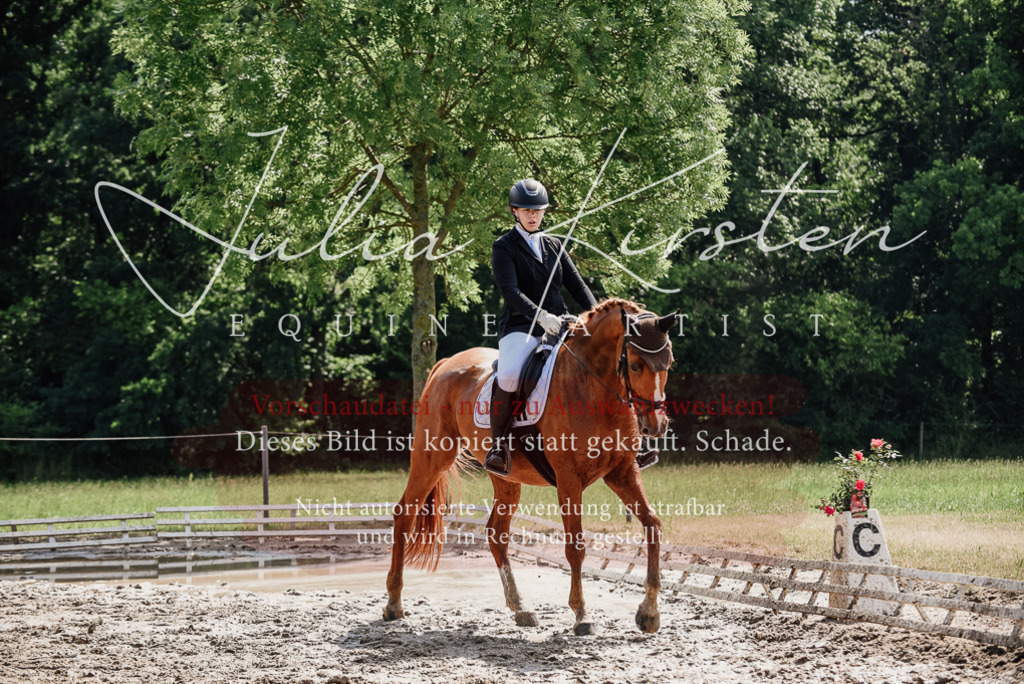DSC_0297 | Pferde- und Turnierfotografie in Westsachsen. Pferdeportraits, Auftragszeichnungen und intuitive Kunst.