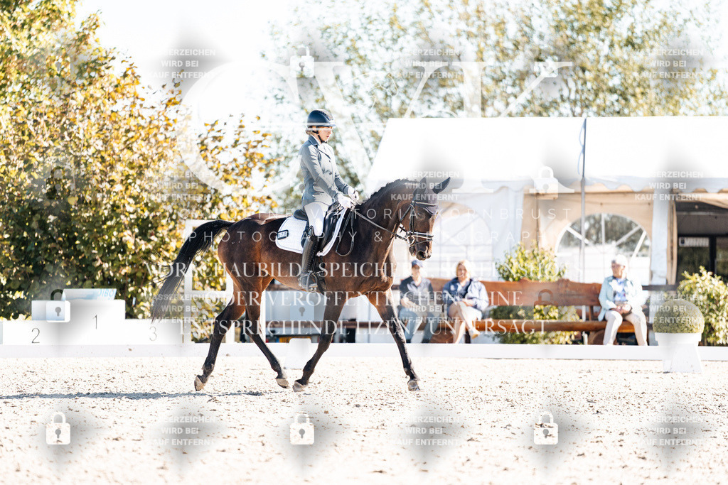 CK908782 | Turnierfotografie Pferdefotografie Trier Rheinland-Pfalz Pferdesport Reitsport Tierfotografie Sportfotografie Pferdevideo Pferdevideografie Equestrianvideography equestrianphotography  - Realisiert mit Pictrs.com