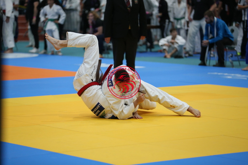 AT3Y1875 | Fotos vom Adler Cup - Pictures from Adler Cup

Hier findet Ihr alle Eindrücke und großen Momente der Adler Cup Wochenenden. Here you will find all impressions and great moments of the Adler Cup weekends. - Realisiert mit Pictrs.com