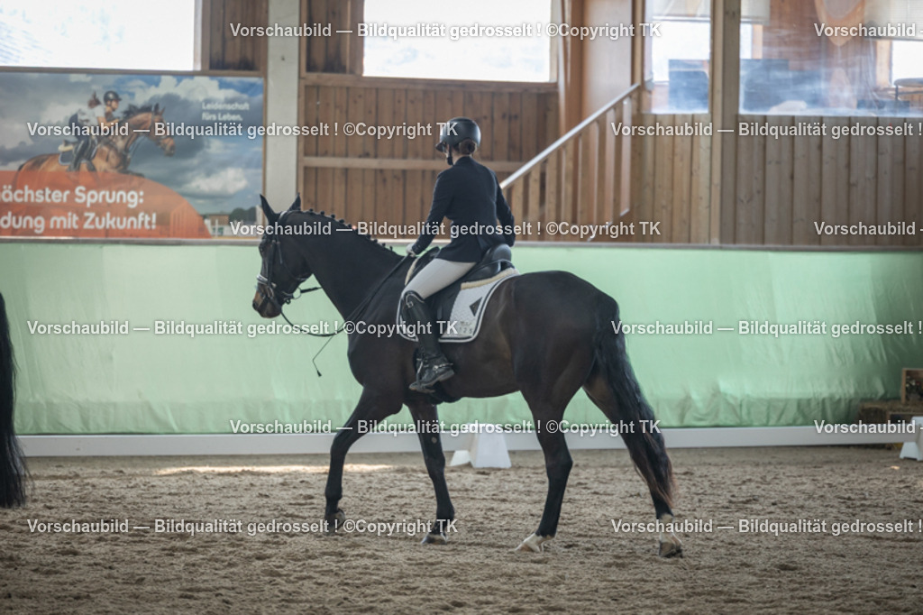 _D5A8512 | Emotionale Pferde- & People-Fotografie rund um Heidelberg, Leimen & Umgebung. Natürliche Fotos von Pferd, Mensch & Familie. Jetzt Termin sichern!