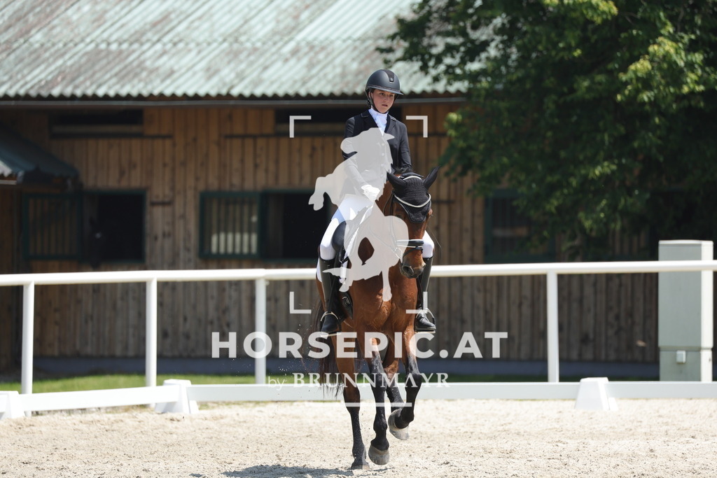 0P6A1654 | Willkommen bei Brunnmayr - Design & Fotografie – Ihrem Spezialisten für Reitturniere und Pferdeveranstaltungen in Oberösterreich, Salzburg und Bayern! Seit über 17 Jahren sind wir leidenschaftlich dabei.