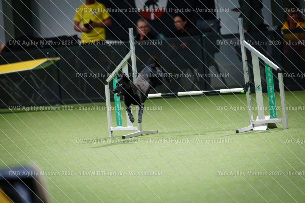 allesWIRTHgut_Tierfotografie-DVG_Agility_Masters_2026-14_23-7R504616 | Professionelle Tierfotografie in Mönchengladbach von Daniel Wirth (allesWIRTHgut). Liebevolle & natürliche Bilder von Hunden & Katzen für unvergessliche Erinnerungen.