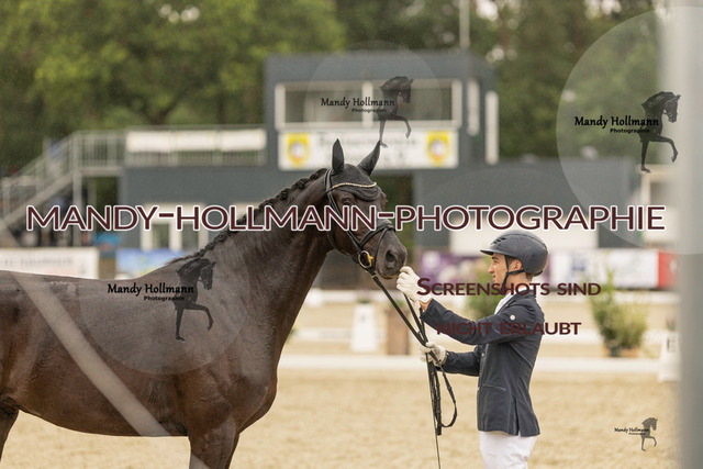 SW 4-705 | mandyhollmannphotographie