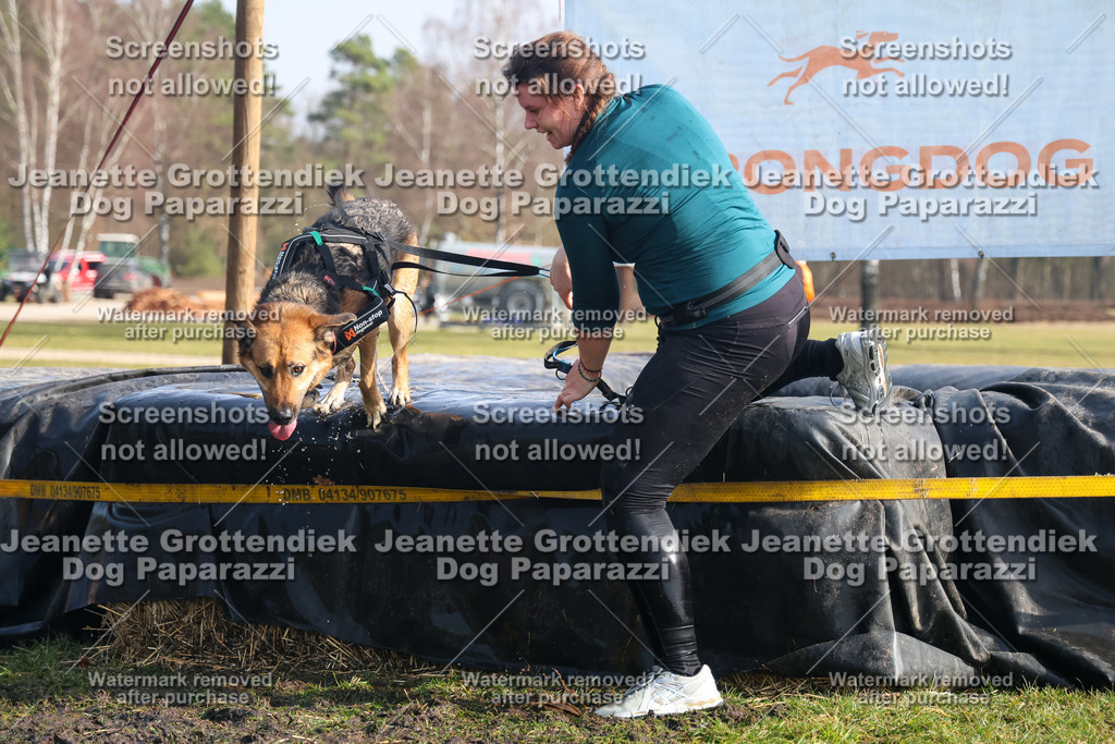 Dog Paparazzi - Strongdog North Mrz26-1630 | Dog Paparazzi Jeanette Grottendiek Fotografie & Videografie - Realisiert mit Pictrs.com
