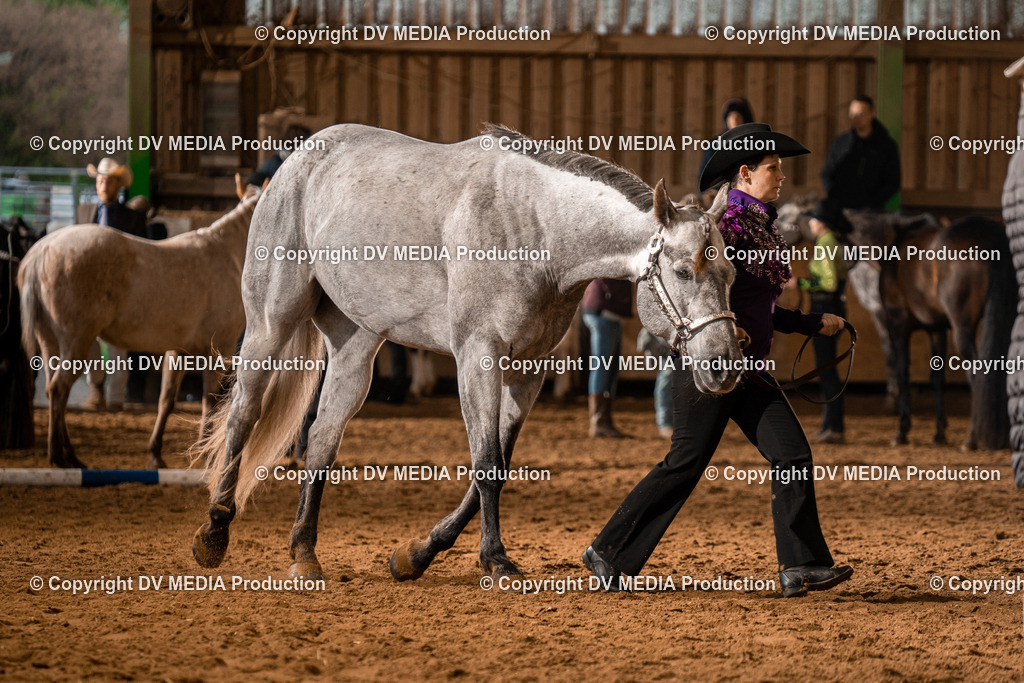 BAL01332 | dv-media-shop - Realisiert mit Pictrs.com