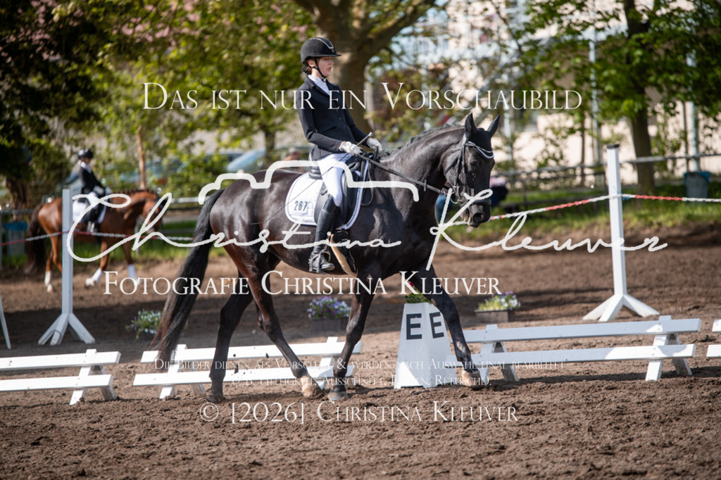 DSC_9606 | Christina-Kleuver