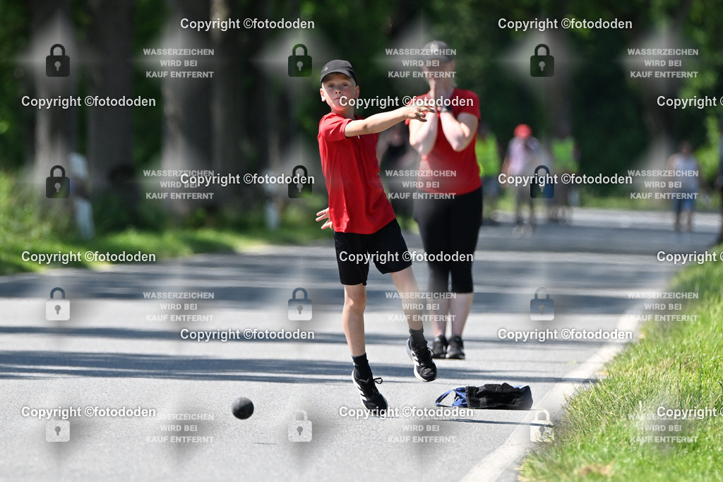 DSC_0298 | Jarno Wittje / Bredhorn / mJu E Holz